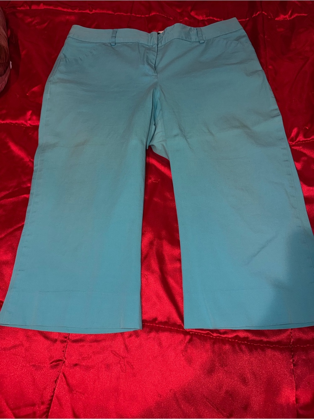 Victoria's Secret Light Teal Capri Pants for Kids